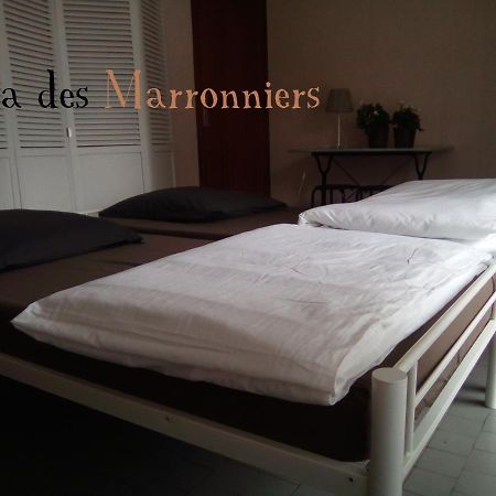 Villa Des Marronniers Міранд Екстер'єр фото